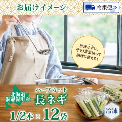 北海道産 洞爺湖近郊 長ねぎ 1/2本×12袋 小分け カット済