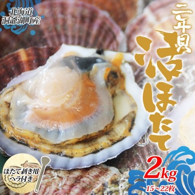 北海道産 活ほたて 2年貝 約2kg 15～22枚 2027年1月以降出荷 北海道 洞爺湖