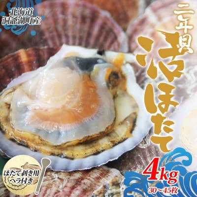 北海道産 活ほたて 2年貝 約4kg 30～45枚 2027年1月以降出荷 北海道 洞爺湖町
