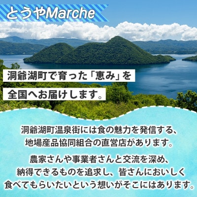 北海道産 冷凍 カット済み 野菜 4種 ブルーベリー 各1袋 計5袋 北海道 洞爺湖町