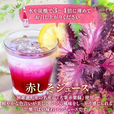 北海道産 赤しそジュース&アロニアジュース 500ml 各1本 飲み比べ セット 洞爺湖町