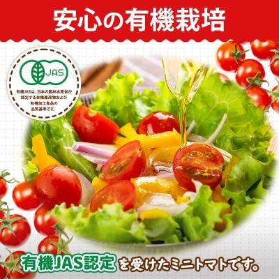 洞爺湖町佐伯農園の「有機JAS認証ミニトマト 150g×8P」【2026年7月中旬より発送】