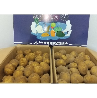雪蔵じゃがいも約10kg×2箱(サイズ:L　品種:とうや)