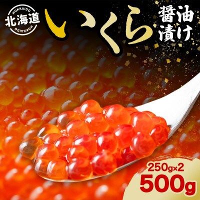 北海道産 いくら醤油漬け 250g 2パック(合計500g)
