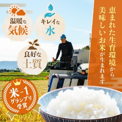 北海道洞爺湖町　宮内農園の財田米「ゆめぴりか」10kg(5kg×2袋)