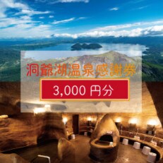 洞爺湖温泉感謝券　3,000円分 | ふるさと納税のお礼品