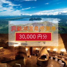 洞爺湖温泉感謝券　30,000円分 | ふるさと納税のお礼品