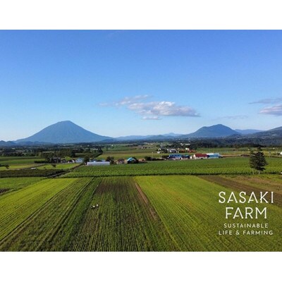 【先行受付 8月上旬より順次発送】夏の宝石　摘みたて!フレッシュブルーベリー　約2kg