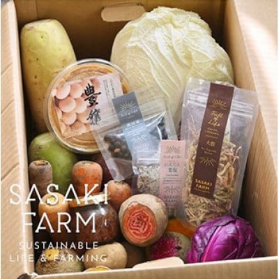 佐々木ファームよりお届けする旬の野菜詰め合わせ　～ありがとうBOX 2023・大～