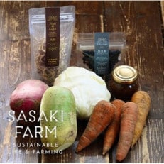 佐々木ファームよりお届けする旬の野菜詰め合わせ　～ありがとうBOX 2023・小～