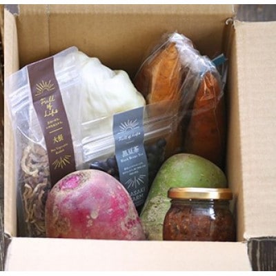 佐々木ファームよりお届けする旬の野菜詰め合わせ　～ありがとうBOX 2025・小～