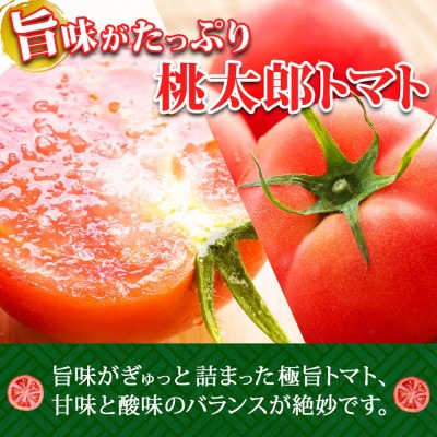 桃太郎トマト 約4kg(18～24玉) 北海道 洞爺湖町 高橋農園