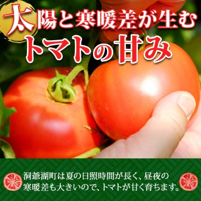 桃太郎トマト 約4kg(18～24玉) 北海道 洞爺湖町 高橋農園