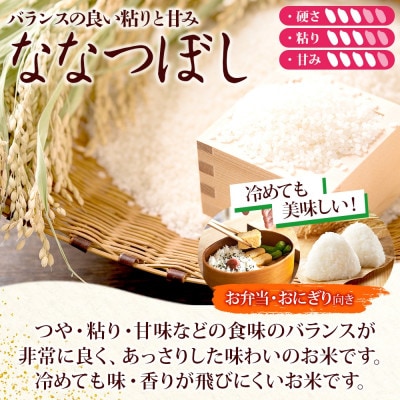 令和6年産 北海道米 ななつぼし 10kg 精米 特A 財田米 高橋農園 北海道洞爺湖町