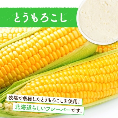 北海道 まきばのジェラート とうもろこし 6個 洞爺湖町