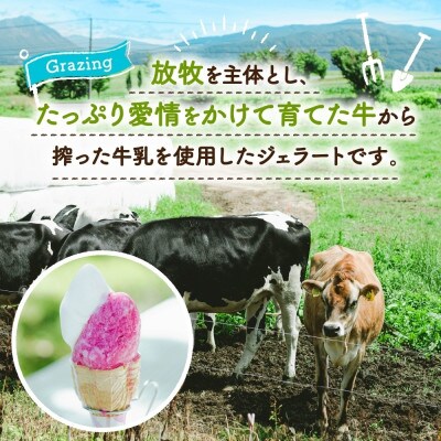 北海道 まきばのジェラート ホワイトクリーム カムイ・ミンタルの塩 各3個 計6個 洞爺湖町