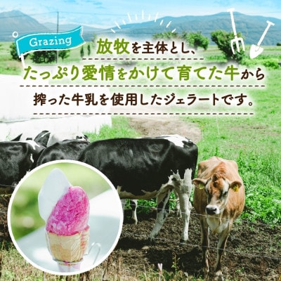 北海道 まきばのジェラート ホワイトクリーム かぼちゃ 各3個 計6個 洞爺湖町