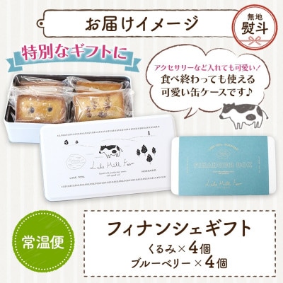 無地熨斗 オリジナルフィナンシェギフト 計8個入り くるみ ブルーベリー 焼菓子 北海道 洞爺湖町