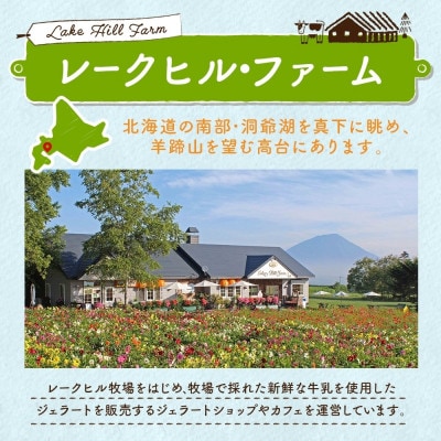 【2ヵ月毎定期便】北海道 洞爺湖町 まきばのレアチーズケーキ 直径15cm×1個全6回
