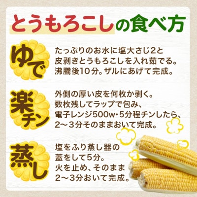 <先行受付>北海道 月浦で育った 雪の妖精 5kg とうもろこし 青山農園 2025年発送