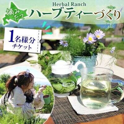 北海道 摘みたて ハーブティー作り体験 ハーブ お茶 ハーバルランチ 洞爺湖町