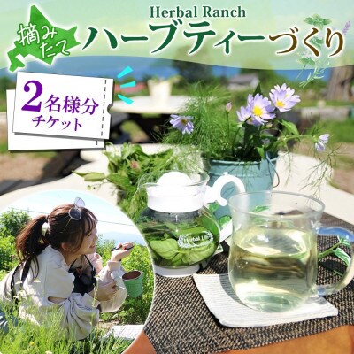 北海道 摘みたて ハーブティー作り体験 2枚 ハーブ お茶 ハーバルランチ 洞爺湖町