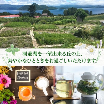 北海道 摘みたて ハーブティー作り体験 2枚 ハーブ お茶 ハーバルランチ 洞爺湖町