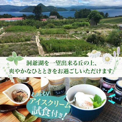 北海道 摘みたて ハーブソルト作り体験 2枚 ハーブ 岩塩 ハーバルランチ 洞爺湖町