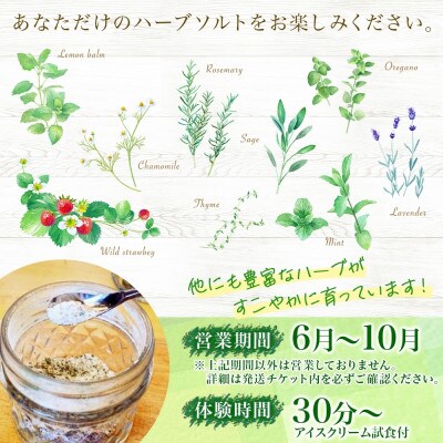 北海道 摘みたて ハーブソルト作り体験 2枚 ハーブ 岩塩 ハーバルランチ 洞爺湖町