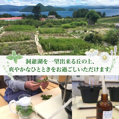 北海道 アロマウォーター蒸留体験 ハーブ アロマ ハーバルランチ 洞爺湖町