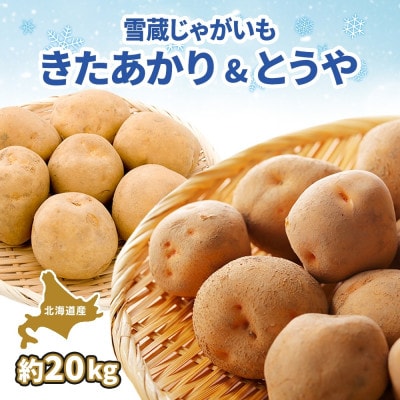 【2026年先行受付】北海道 雪蔵 きたあかり&とうや 計約20kg 丸田農園 洞爺湖町