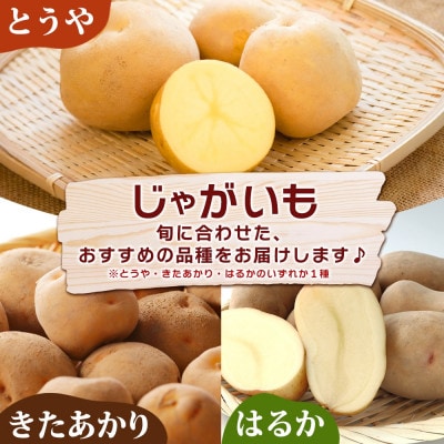 くりりん南瓜&じゃがいも 産地直送 計10kg 北海道 洞爺湖町 2025年10月初旬より順次発送