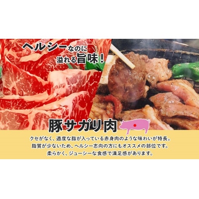 塩だれ 豚 サガリ 200g×4袋 焼き肉 北海道洞爺湖町