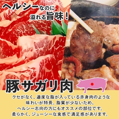 塩だれ 豚 サガリ 200g×4袋 焼き肉 北海道洞爺湖町
