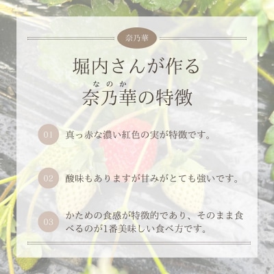 【奈良県限定】 いちご「奈乃華」 250g×4パック イチゴ 国産 贈答 フルーツ 果物 