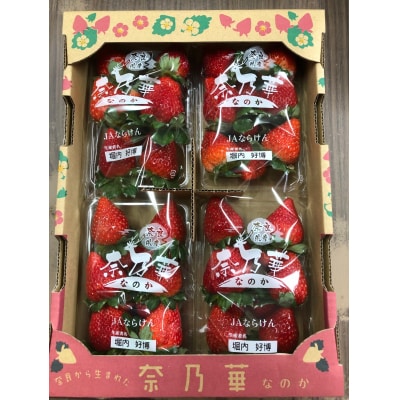 【奈良県限定】 いちご「奈乃華」 250g×4パック イチゴ 国産 贈答 フルーツ 果物 