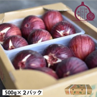 《1kg》田中いちじく農園の朝採り新鮮いちじく　4～7個入×2パック