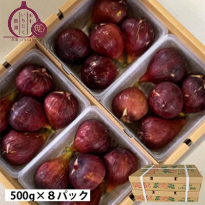 《4kg》田中いちじく農園の朝採り新鮮いちじく　4～7個入×8パック