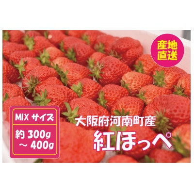甘酸っぱ～い苺　紅ほっぺ　MIX 約300-400g【産地直送】