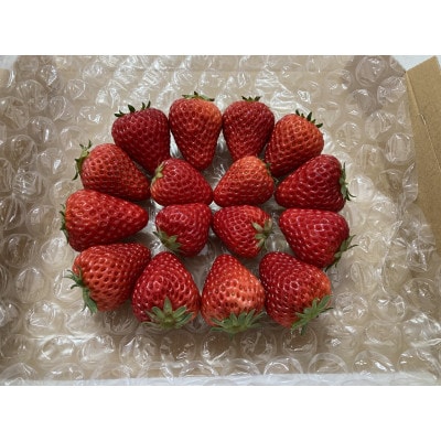 甘酸っぱ～い苺　紅ほっぺ　MIX 約300-400g【産地直送】