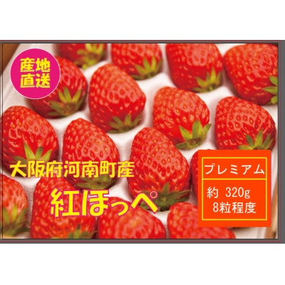 甘酸っぱーい　紅ほっぺ　プレミアムいちご(320g)「大きなサイズ」【産地直送】