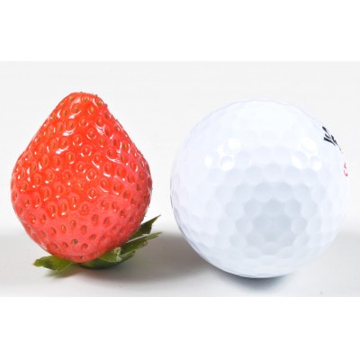 光姫(イチゴ)約600g～約700g/苺 いちご 果物 大阪府南河内郡河南町