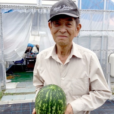 【7月上旬より順次発送】千姫(すいか)約3kg～約3.5kg×2個/果物 大阪府南河内郡河南町