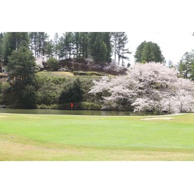 大阪府南河内郡河南町　グロワールゴルフ倶楽部【平日】セルフ1名様プレー券/昼食付　