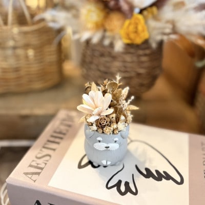 アニマルフラワー(シュナウザー)