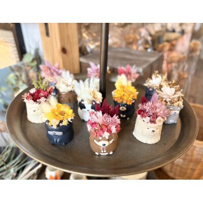 アニマルフラワー(シュナウザー)