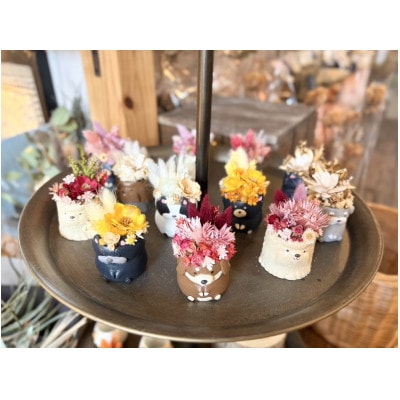 アニマルフラワー(チワワ)