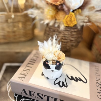 アニマルフラワー(フレンチブルドッグ)