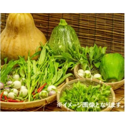 【12～14種類】河南町新鮮アジア野菜「大満足セット」