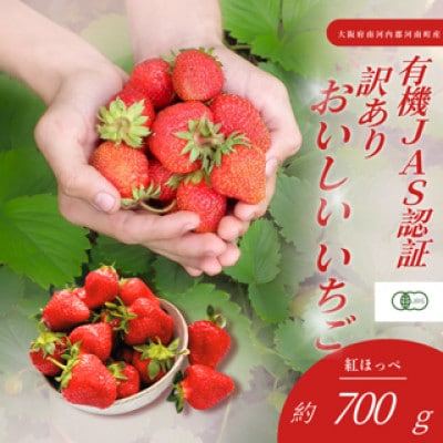 大阪府南河内郡河南町産　訳あり　おいしいいちご　JAS認証いちご　約700g　36粒